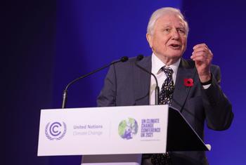 David Attenborough prend la parole lors de la cérémonie d'ouverture de la conférence COP26 sur le changement climatique à Glasgow en novembre 2021.