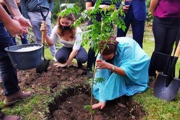 联合国常务副秘书长阿明娜·穆罕默德（右）在哥斯达黎加与年轻的环保人士一起种树，并为联合国广场揭幕。