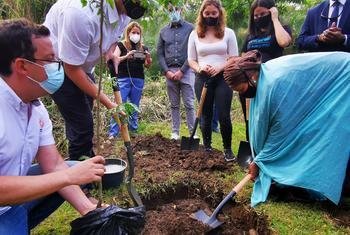 نائبة الأمين العام أمينة محمد تشارك في غرس شجرة برفقة نشطاء خلال زيارتها إلى كوستاريكا.
