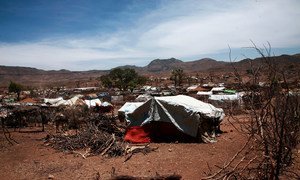 Intercommunal violence in Darfur has left millions in need of assistance. Pictured here, an IDP settlement in Sortoni. (file photo)