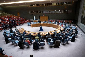 Le Conseil de sécurité lors d'une réunion d'urgence sur l'Ukraine.