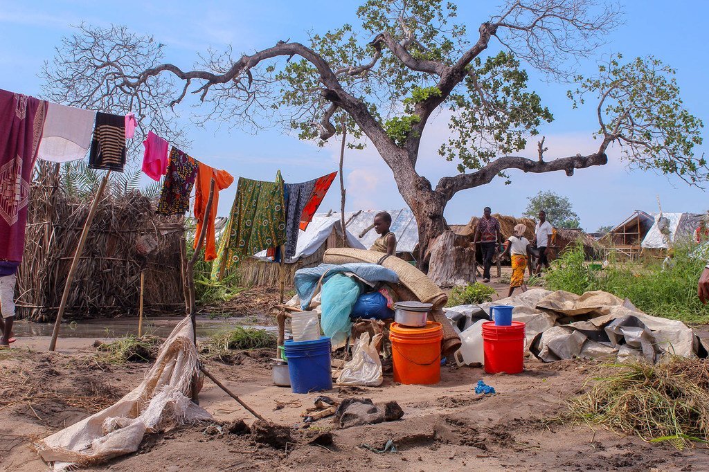 Des familles déplacées dans le nord du Mozambique ont trouvé un abri temporaire.