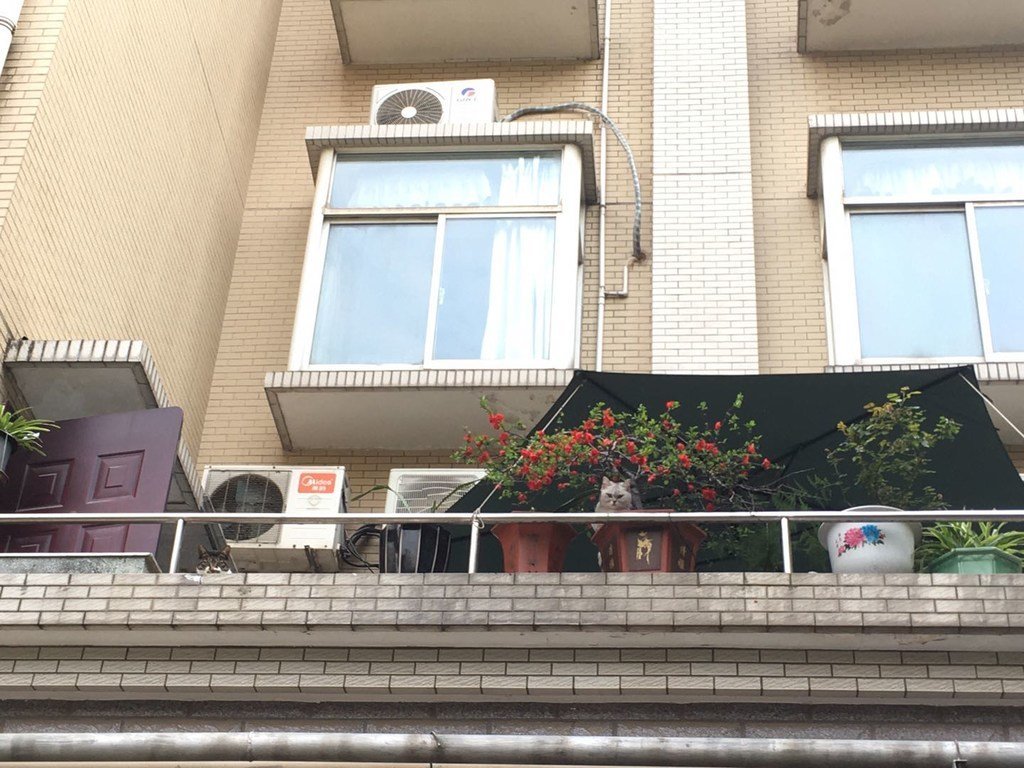 Un appartement dans un immeuble résidentiel à Wuhan, en Chine, qui est utilisé comme site de quarantaine.