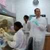 Cientistas trabalham em testes de covid-19 na Guiana.