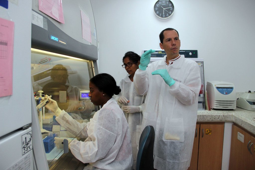 La branche régionale de l'Organisation mondiale de la santé pour les Amériques (OPS/OMS) offre une formation aux tests au Covid-19 à des spécialistes de laboratoire au Guyana.