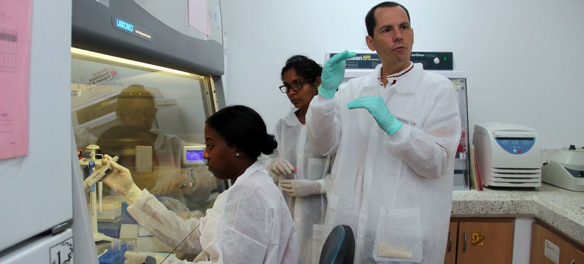 The UN's Pan American Health Organization (PAHO) provides COVID-19 test training to laboratory specialists in Guyana.  