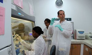 La OMS ofrece capacitación a los trabajadores de salud de Guyana para hacer test de coronavirus.