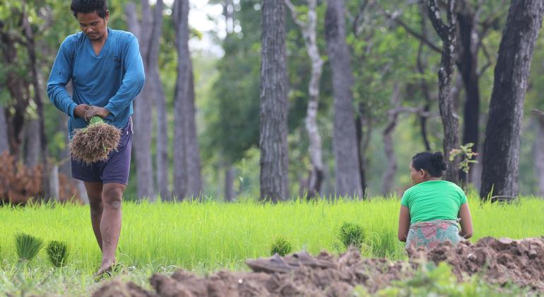 Often, vulnerable communities are situated in areas of poor or marginal soils, which increases the pressure for expansion of agricultural lands.