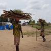Women return from collecting firewood in South Sudan's Unity State, which has seen alarming levels of gender-based violence amid mounting conflict and spiralling climate catastrophes. 