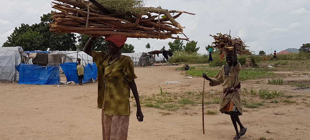 امرأتان عائدتان من جمع الحطب في ولاية الوحدة بجنوب السودان