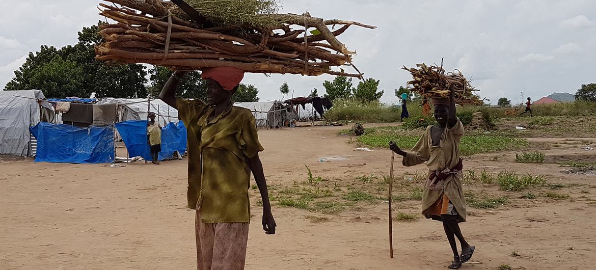 Women return from collecting firewood in South Sudan's Unity State, which has seen alarming levels of gender-based violence amid mounting conflict and spiralling climate catastrophes. 