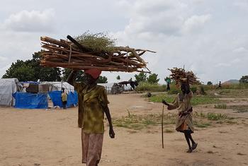 امرأتان عائدتان من جمع الحطب في ولاية الوحدة بجنوب السودان