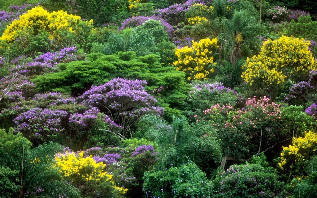 Forests are the most diverse habitat on land.