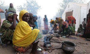 WFP says 41 million people around the world, including in Nigeria (pictured) are at imminent risk of famine.