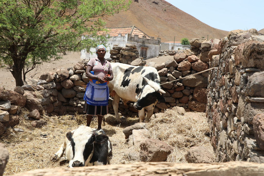 Cabo Verde se enfrenta a niveles récord de inseguridad alimentaria como consecuencia de la sequía, el COVID-19 y la crisis de Ucrania.