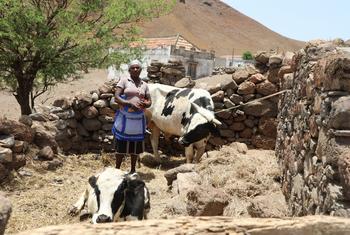 Cabo Verde faces record-breaking levels of food insecurity as a result of drought, COVID-19 and the crisis in Ukraine.