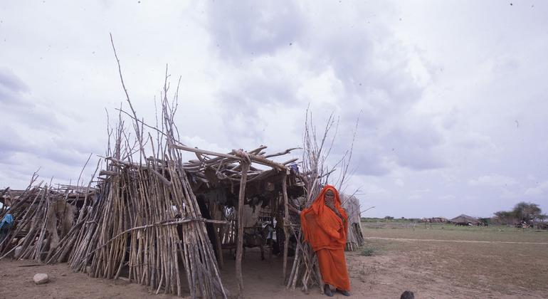 من المتوقع أن يواجه 11.7 مليون شخص، أي ما يقرب من ربع سكان السودان، جوعًا حادًا في ذروة موسم العجاف في أيلول /سبتمبر