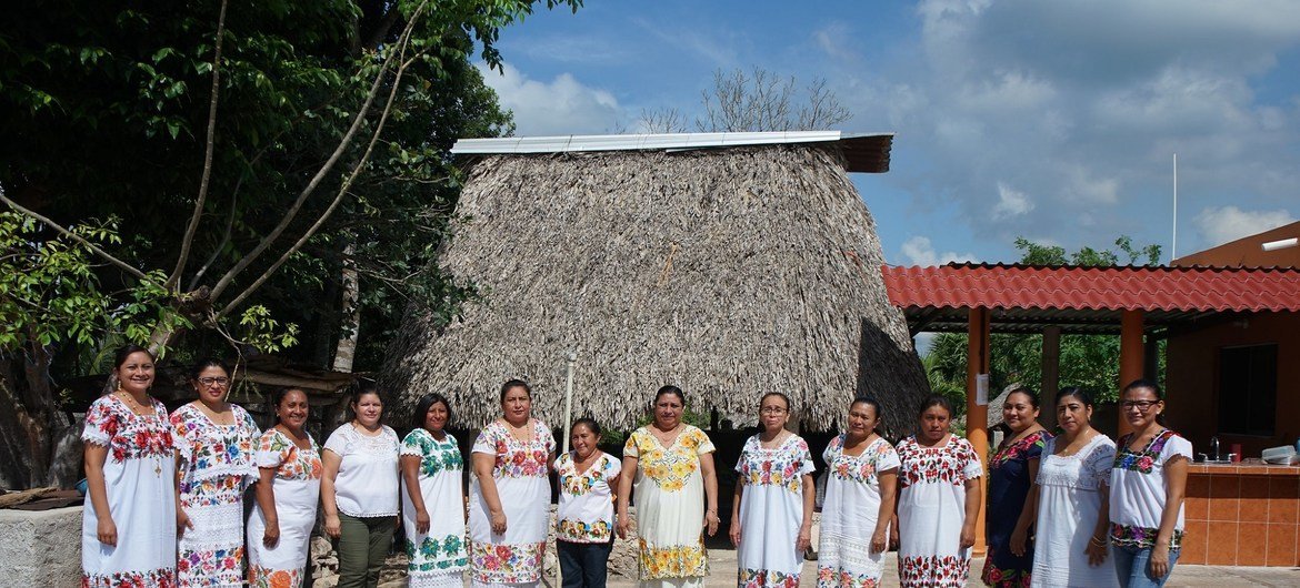 Mtandao wa wanawake wa Mayan wanaotengeneza asali ya melipona na kuhifadhi bionuai huko Mexico.