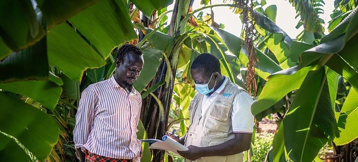 موظف لدى برنامج الأغذية العالمي يلتقي بأحد المشاركين في مشروع للصمود في كينيا