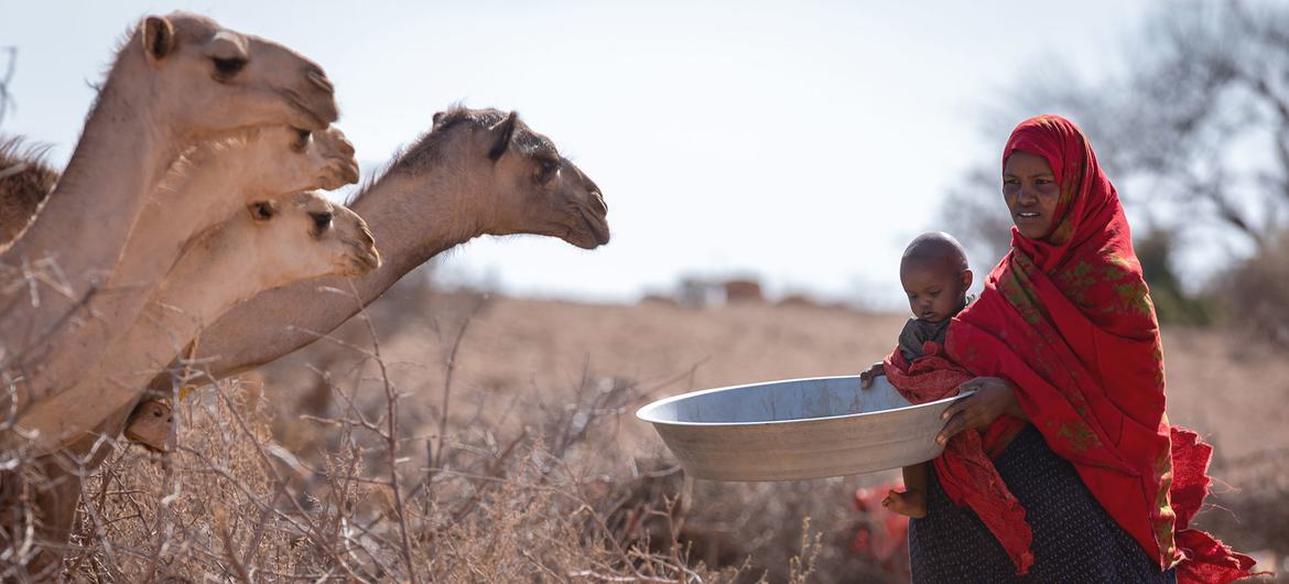 इथियोपिया के सोमाली क्षेत्र में, 6 बच्चों की माँ, इस महिला को आगामी कुछ महीनों में सूखे के कारण, अपने पशुधन को खो देने का डर है.