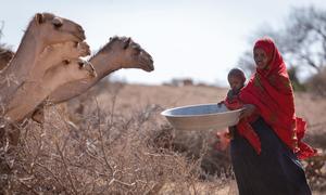 Une mère a peur de perdre davantage de bétail dans les mois à venir à cause de la sécheresse dans la région Somali, en Ethiopie.