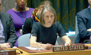 美国常驻联合国代理副代表谢里斯·诺曼·沙莱资料图片