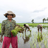 柬埔寨正面临旱季延长、雨季缩短，降雨量过于集中等气候水文挑战。联合国开发署及最不发达国家基金正努力帮助该国完善早起预警系统。