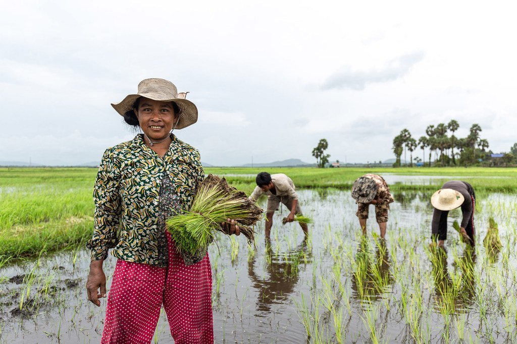 柬埔寨正面临旱季延长、雨季缩短，降雨量过于集中等气候水文挑战。联合国开发署及最不发达国家基金正努力帮助该国完善早起预警系统。