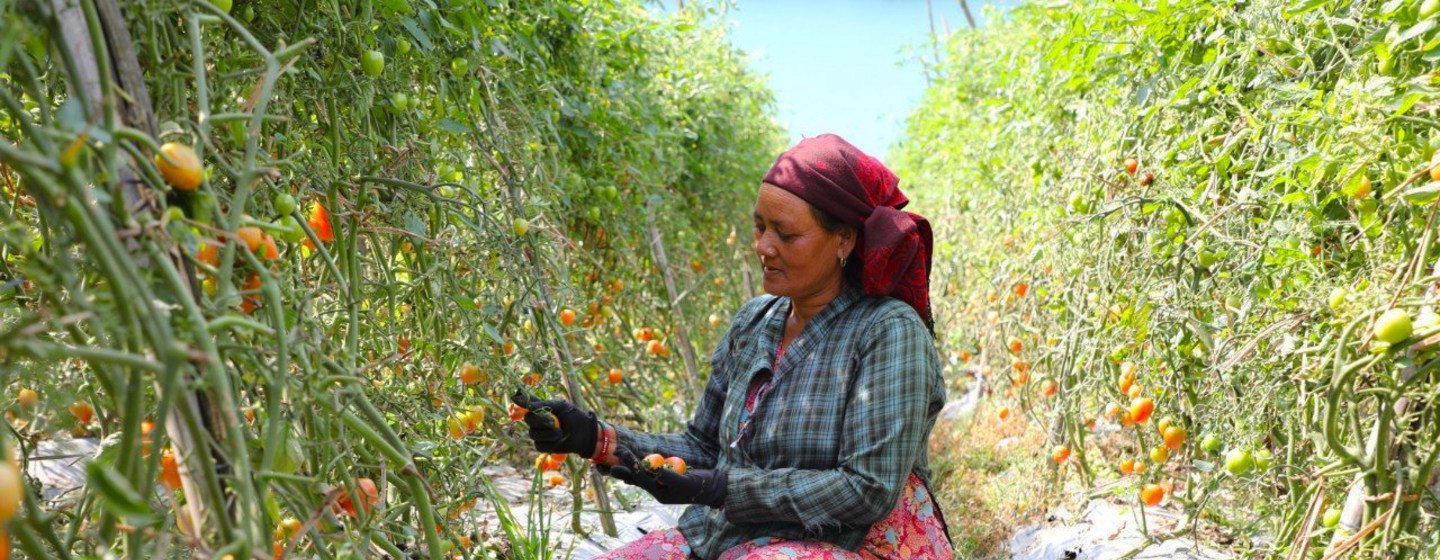 Nepal has promoted farming which helps to reduce the impact of natural disasters.