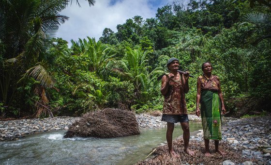 在印度尼西亚，许多人依靠森林的生物多样性谋生。
