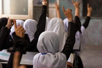فتيات في مدرسة في هرات، أفغانستان.