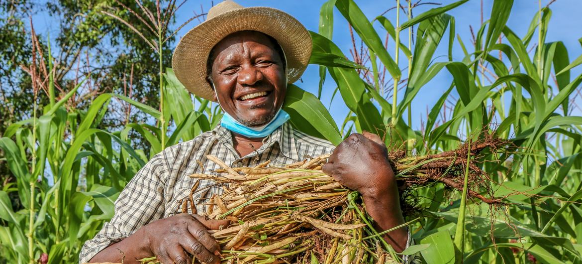 Reginald Omulo is a farmer who switched from farming tobacco to beans, in Kenya.