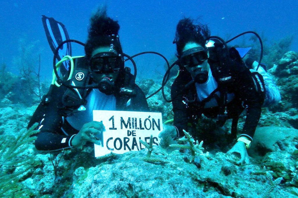 Los buzos posan con corales trasplantados y un signo de 'Un millón de corales por Colombia', el nombre del proyecto de restauración oceánica más grande de América Latina.