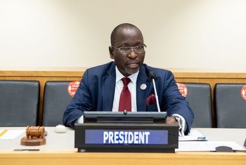 President Collen Vixen Kelapile of Botswana delivers his inaugural speech to the Economic and Social Council (ECOSOC).