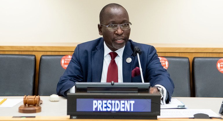 New ECOSOC President aims to maximize ‘reach, relevance and impact’