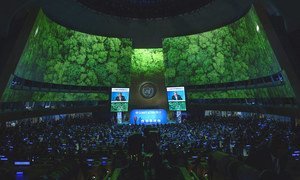 A wide view of the General Assembly Hall during the opening of the UN Climate Action Summit 2019. (23 September 2019)