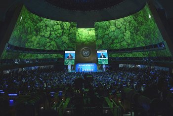 A wide view of the General Assembly Hall during the opening of the UN Climate Action Summit 2019. (23 September 2019)