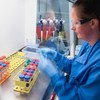 يتم اختبار العينات من قبل العلماء في معهد جينر التابع لجامعة أكسفورد في ظل استمرار تطوير لقاح ضد فيروس كورونا.