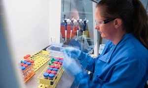 Cientistas fazem testes em amostras no Instituto Jenner, da Universidade de Oxford, durante desenvolvimento de uma vacina contra o novo coronavírus.