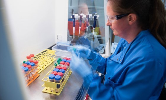 Cientistas fazem testes em amostras no Instituto Jenner, da Universidade de Oxford, durante desenvolvimento de uma vacina contra o novo coronavírus.