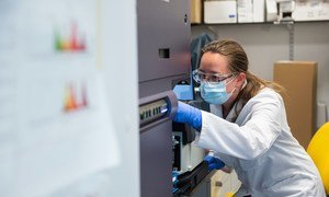 Les scientifiques de l'Institut Jenner de l'Université d'Oxford continuent de progresser dans la mise au point d'un vaccin contre le coronavirus.