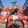 Men unload sacks of onions from a truck in Bamako, Mali, a landlocked developing country. Their lack of direct access to the vital trade links often result in landlocked countries paying high transport and transit costs.