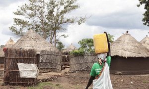 Uganda hosts the largest number of refugees in Africa. Pictured here, a South Sudanese refugee returns to her shelter after fetching water from a community tap at a refugee settlement in Adjumani district. (file photo)
