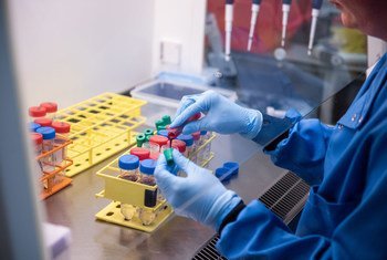 试验表明，由牛津大学和阿斯利康公司开发的冠状病毒疫苗能有效阻止人们发展为新冠。