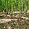 क्रोएशिया के एक जंगल में क्लस्टर गोला-बारूद को हटाया जा रहा है. 
