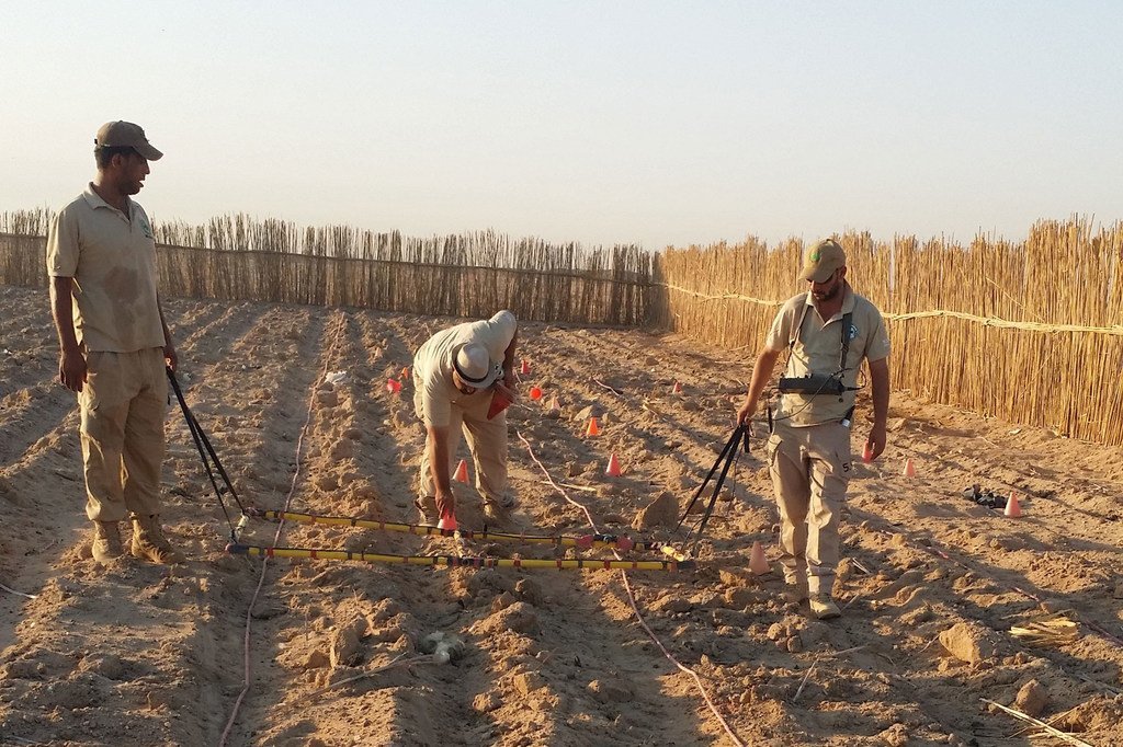 由于发现了未爆炸的集束弹药，伊拉克的百姓只能停止对于这片土地耕作，好让专业人员能够开展清理工作。