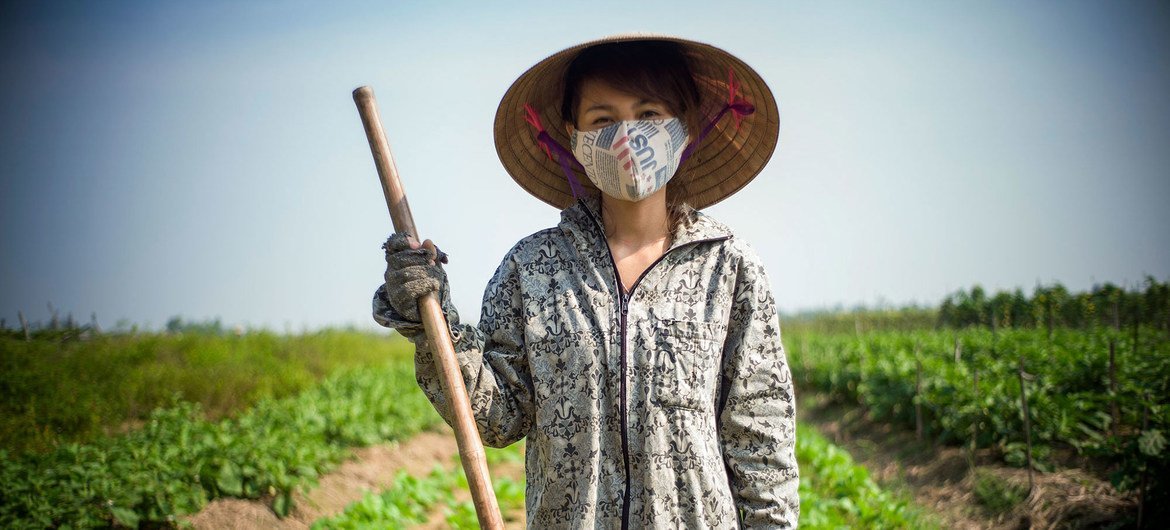 新冠大流行影响了全球的粮食系统，导致粮食不安全和营养不良。