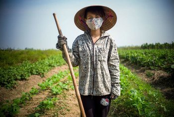 The COVID-19 pandemic has affected global food systems worldwide, causing food insecurity and malnutrition.
