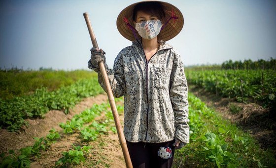 The COVID-19 pandemic has affected global food systems worldwide, causing food insecurity and malnutrition.