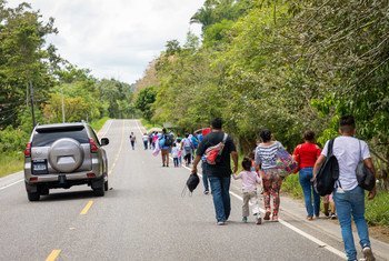 Familias hondureñas migrantes caminan hacia la frontera con Guatemala.